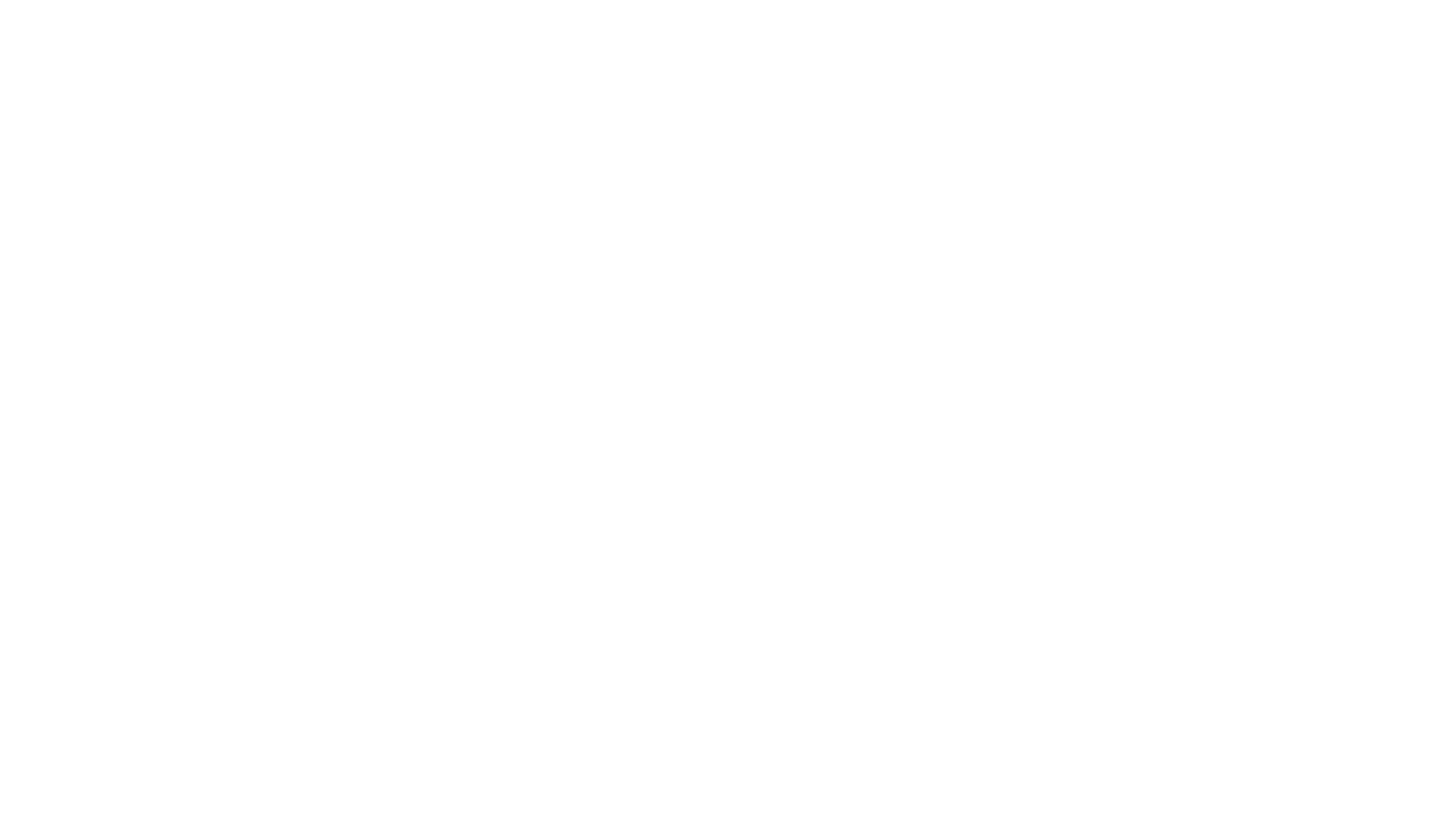 Velocity logo